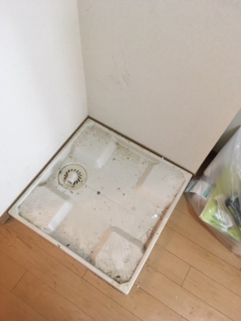 コーラルＫ その他3