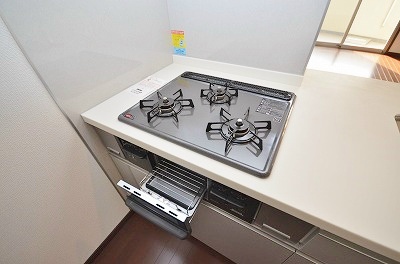 フェリーチェ中井けやき通り  その他11