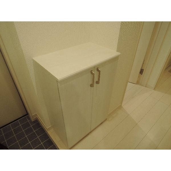 グランレーヴ浄心 玄関