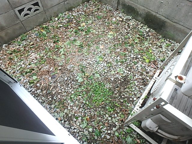 アクシオン大森 ベランダ