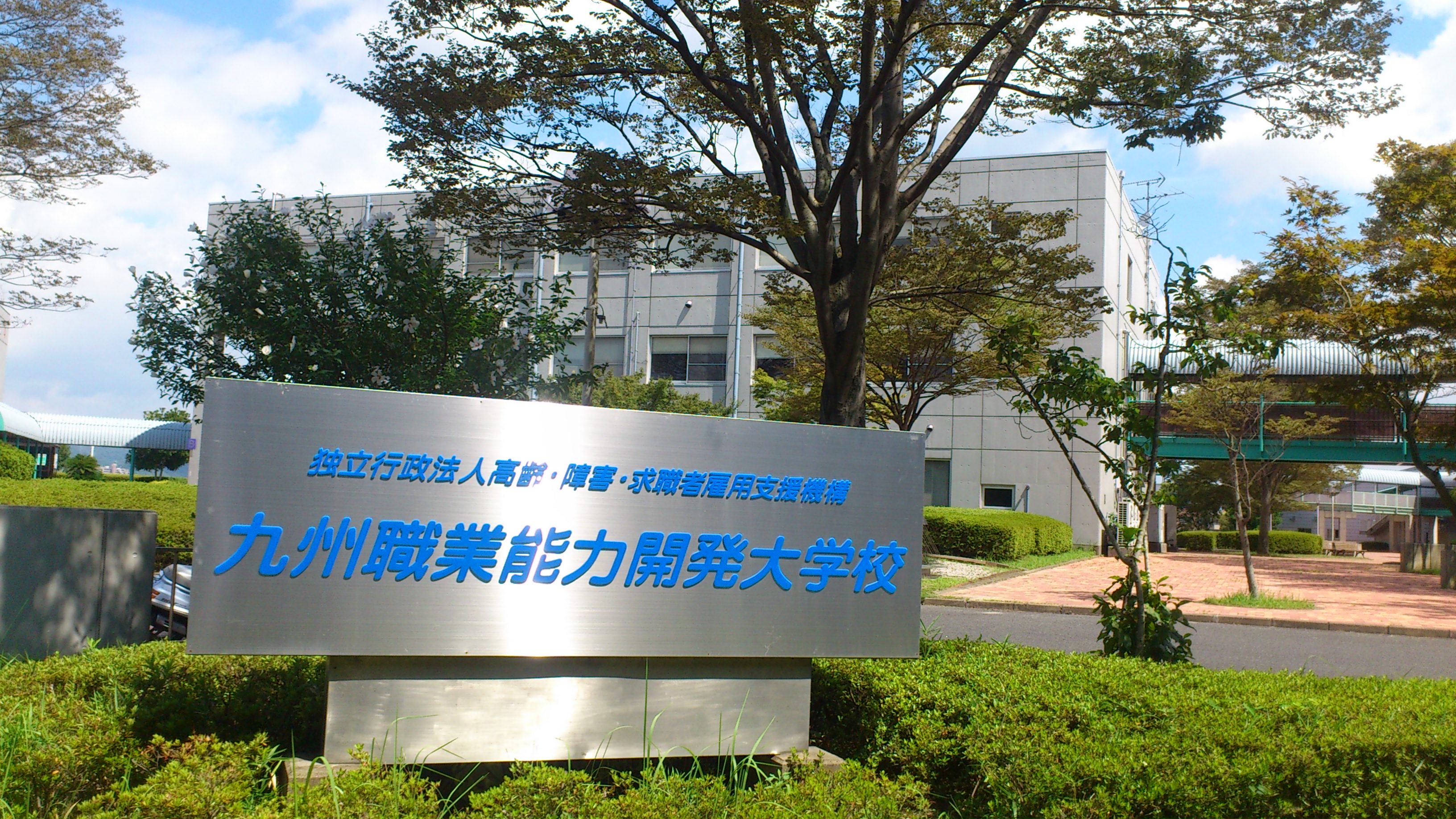オリザ弥生 大学・短大