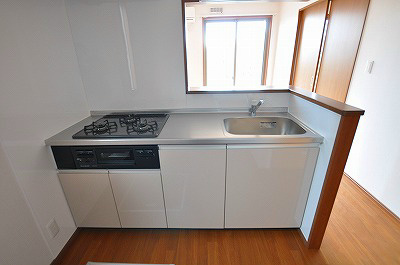 パストラル沼Ⅰ その他12