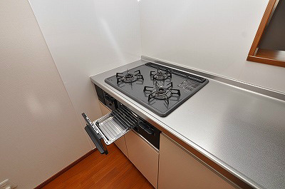 パストラル沼Ⅱ その他12