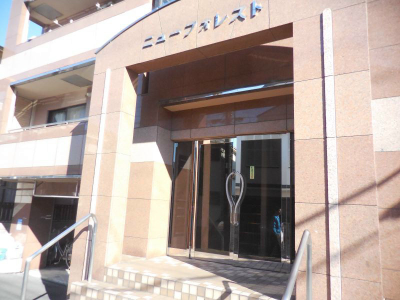 ニューフォレスト その他1