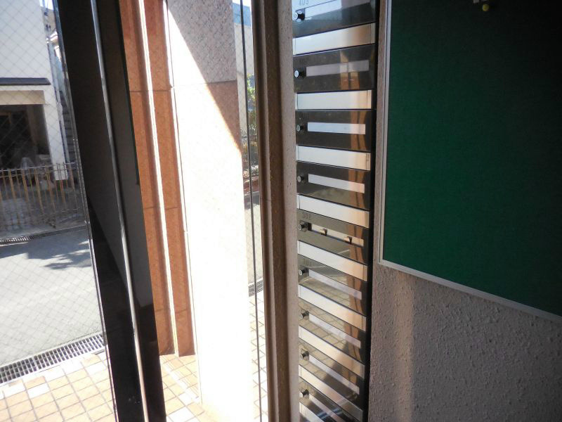 ニューフォレスト その他2