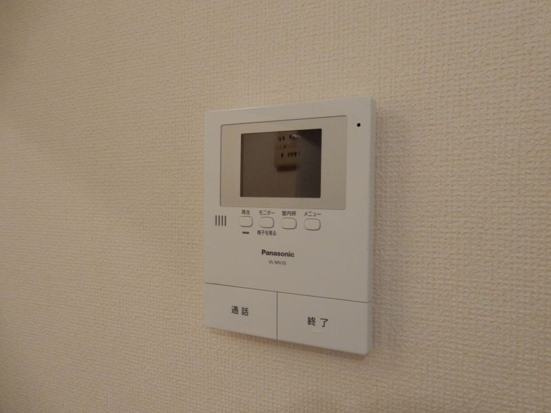 ニューフォレスト その他3