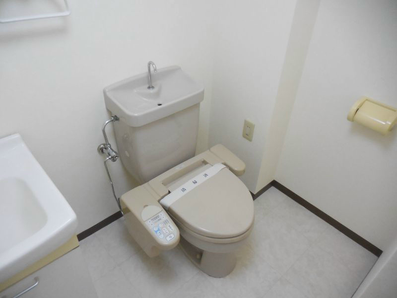 ニューフォレスト その他4