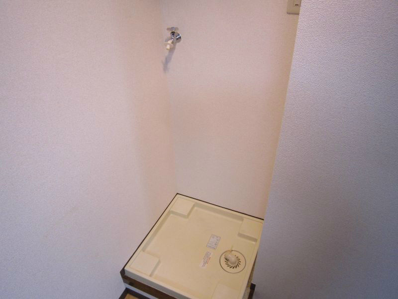 ニューフォレスト その他6