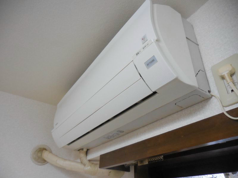 ニューフォレスト その他7