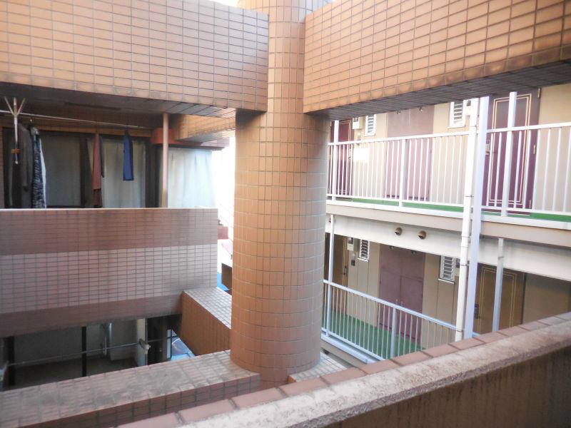 ニューフォレスト その他8