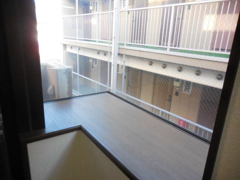 ニューフォレスト その他10