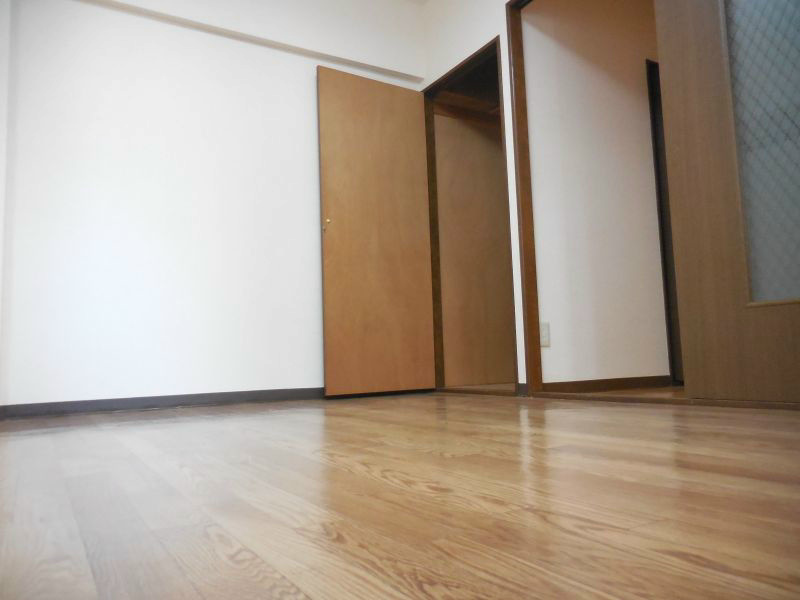 ニューフォレスト その他11