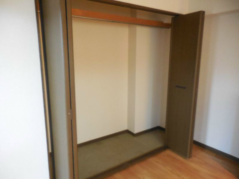 ニューフォレスト その他12