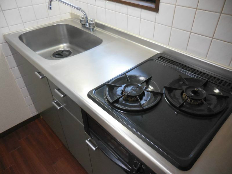 ニューフォレスト その他14