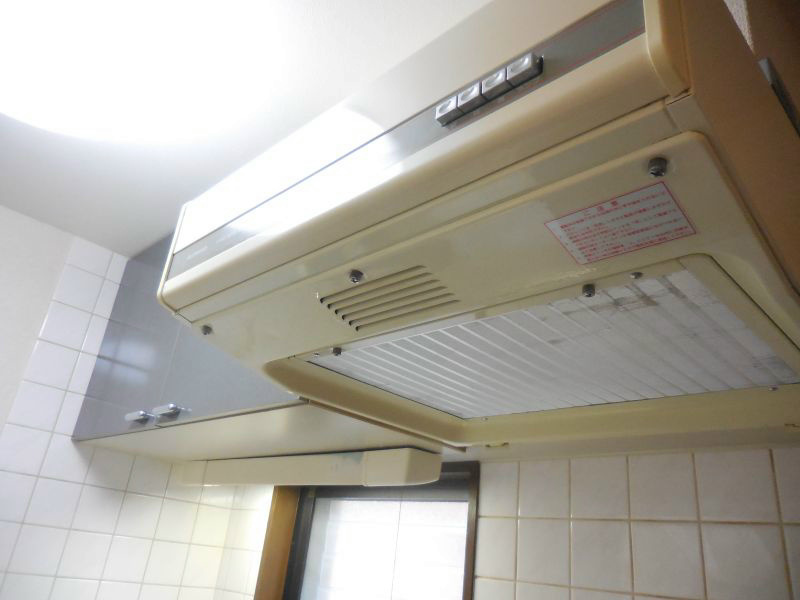 ニューフォレスト その他15