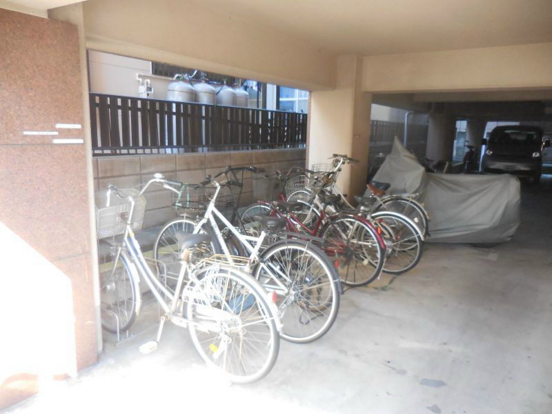 ニューフォレスト その他16