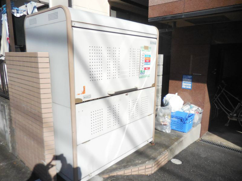 ニューフォレスト その他17