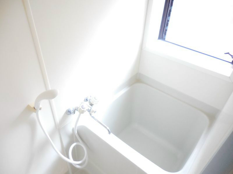 ニューフォレスト 風呂画像