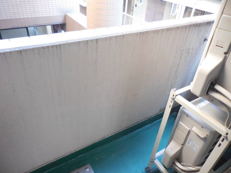 ニューフォレスト ベランダ