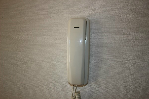 メイデンヘアー・Ａ セキュリティ