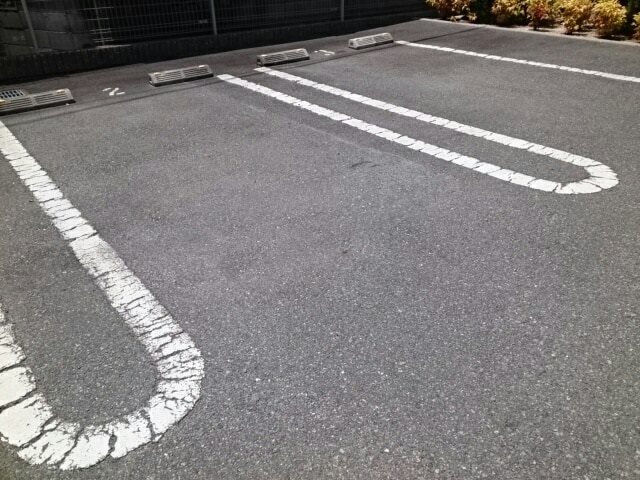 メリディエース・モンス その他2