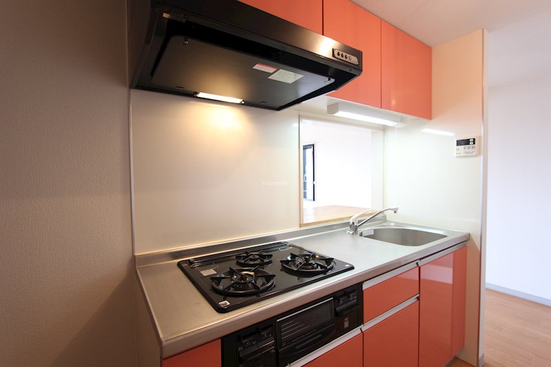 シルクドミール その他3