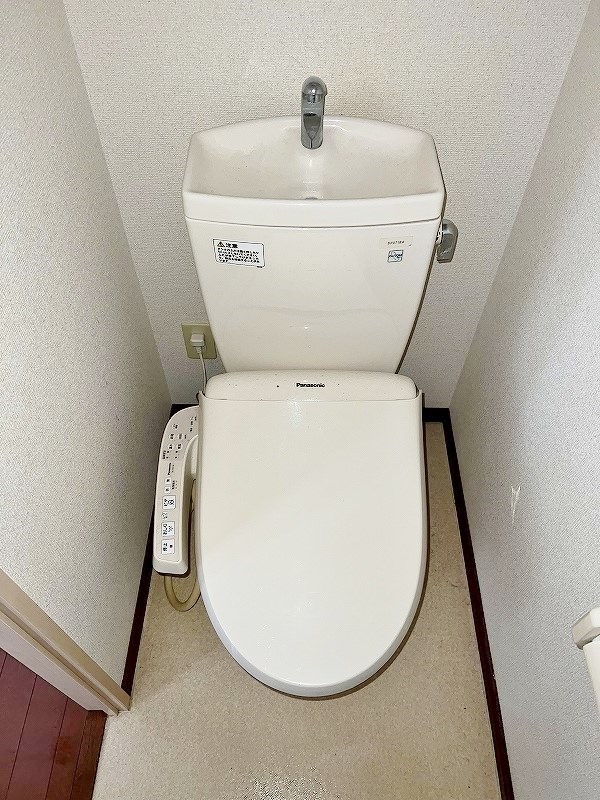 アンテスⅠ その他2