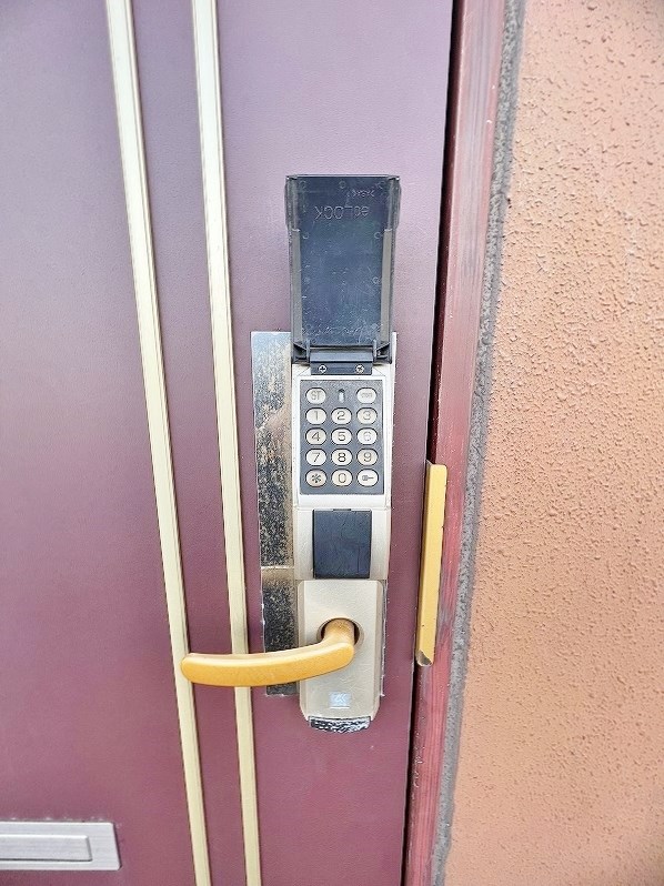 アンテスⅠ その他6