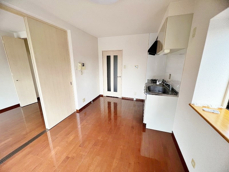 アンテスⅠ その他21