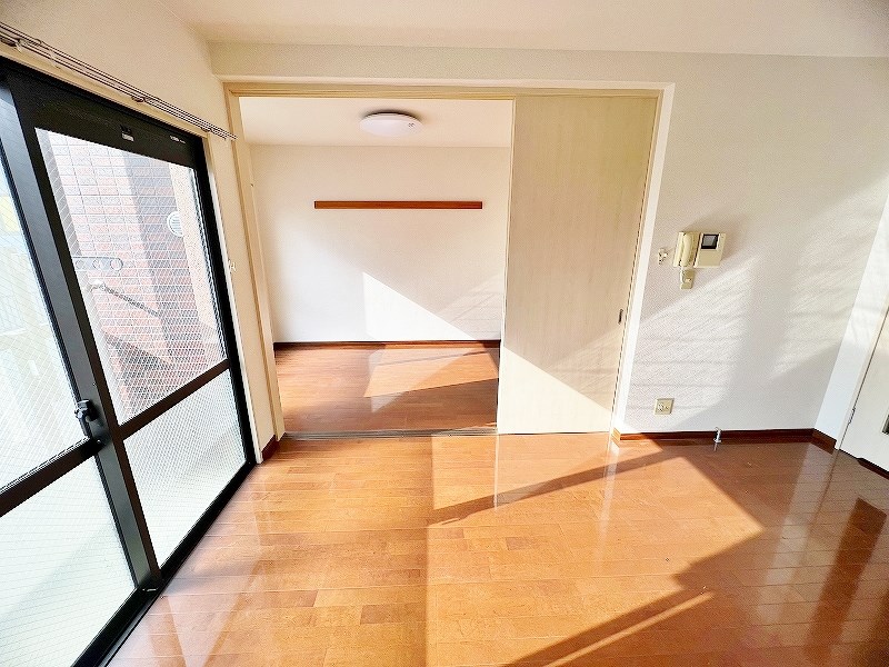 アンテスⅠ その他37