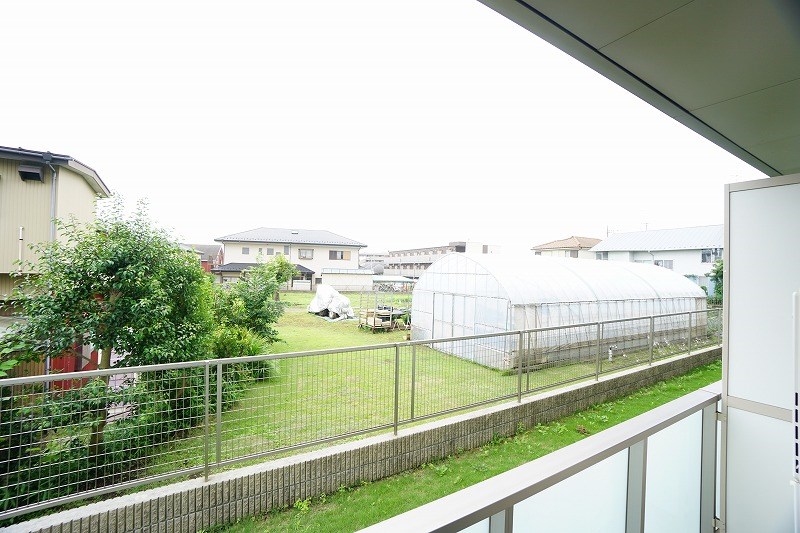 コラージュステラ その他