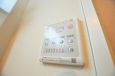 サンクピエール その他5