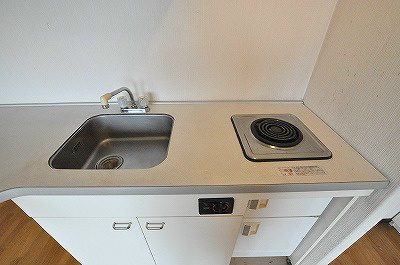 ボナール久 その他10