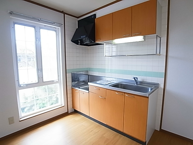 バーズアイヒルズⅡ キッチン