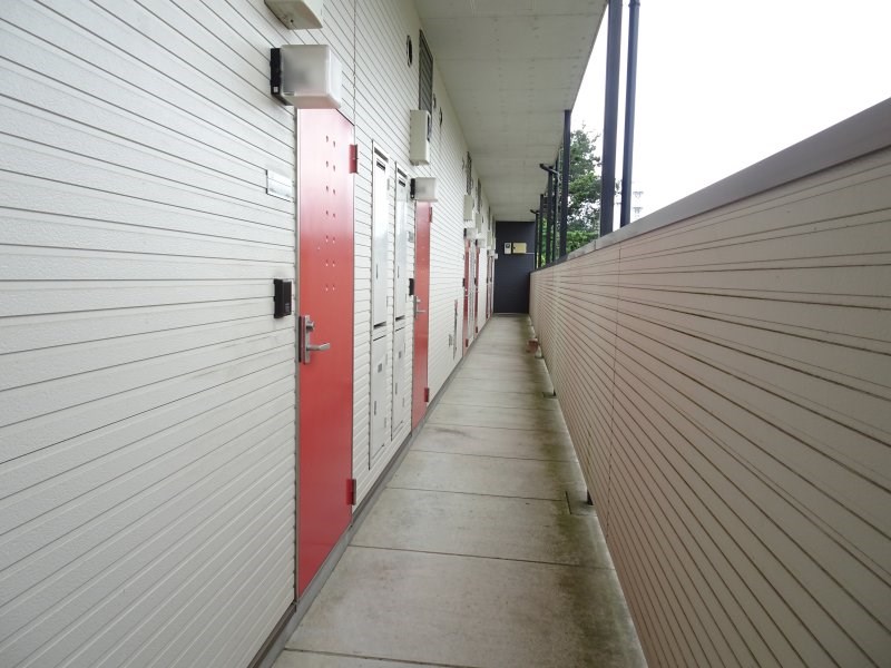 シグナス -Cygnus- その他3