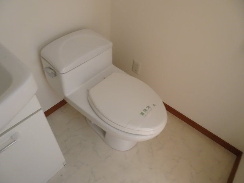 シグナス -Cygnus- その他4