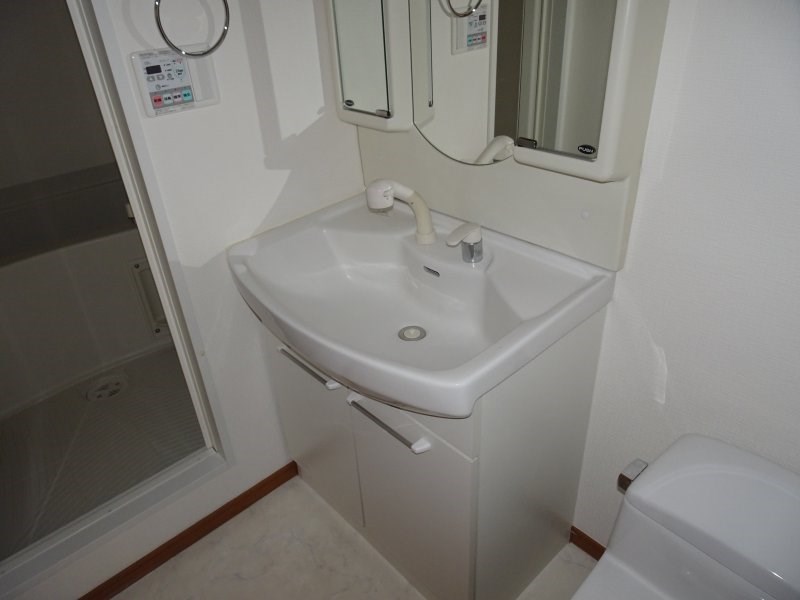 シグナス -Cygnus- その他5