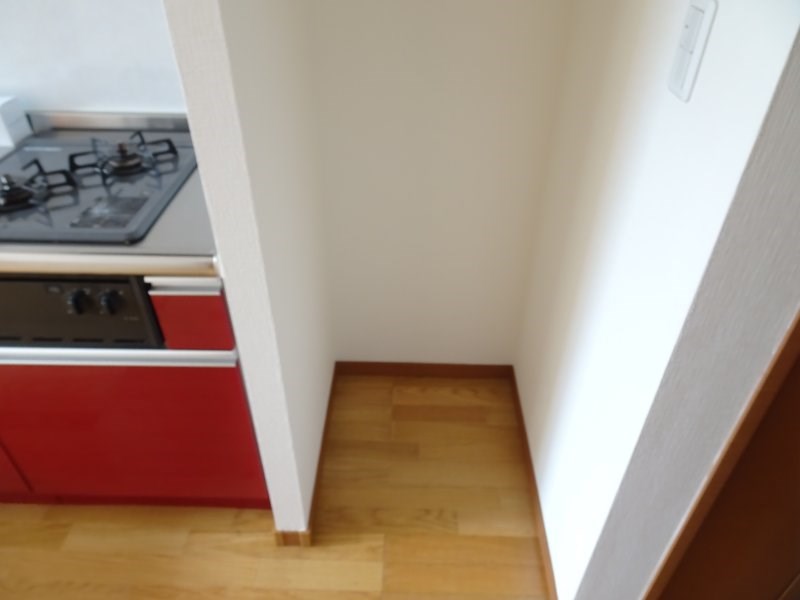 シグナス -Cygnus- その他14