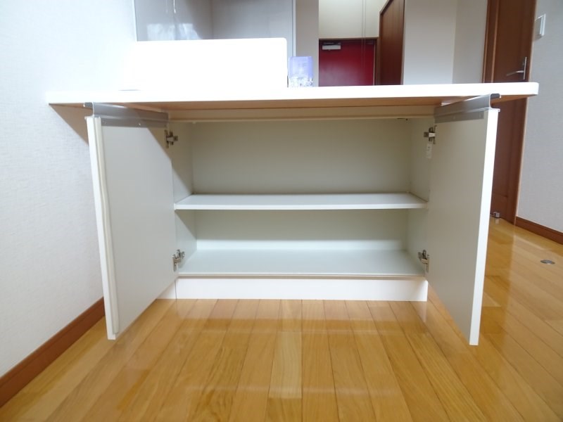 シグナス -Cygnus- その他15