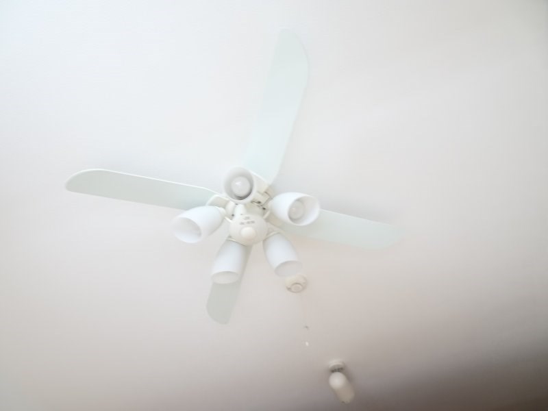 シグナス -Cygnus- その他17