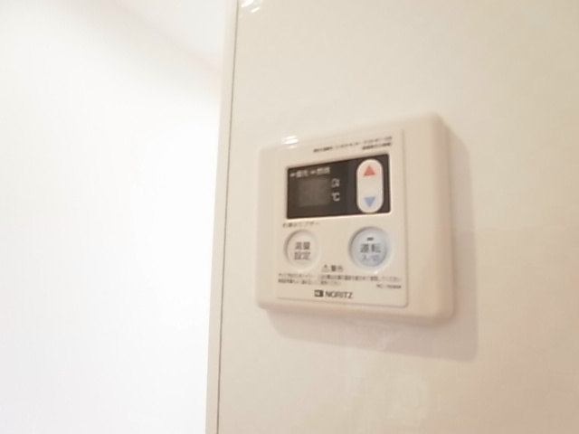 セレジェイラ その他7