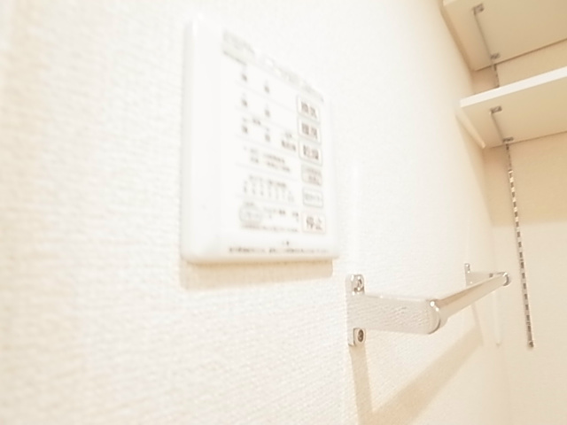 セレジェイラ その他9