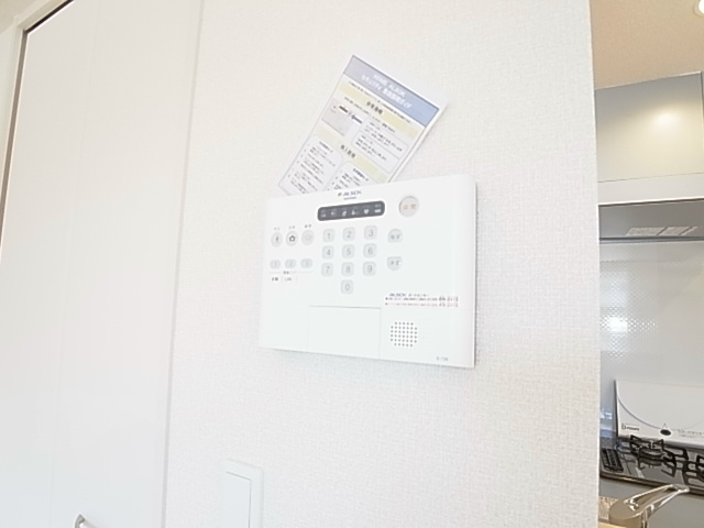 セレジェイラ その他11