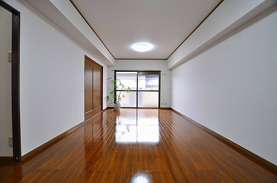 菊竹ビル金鶏 その他19