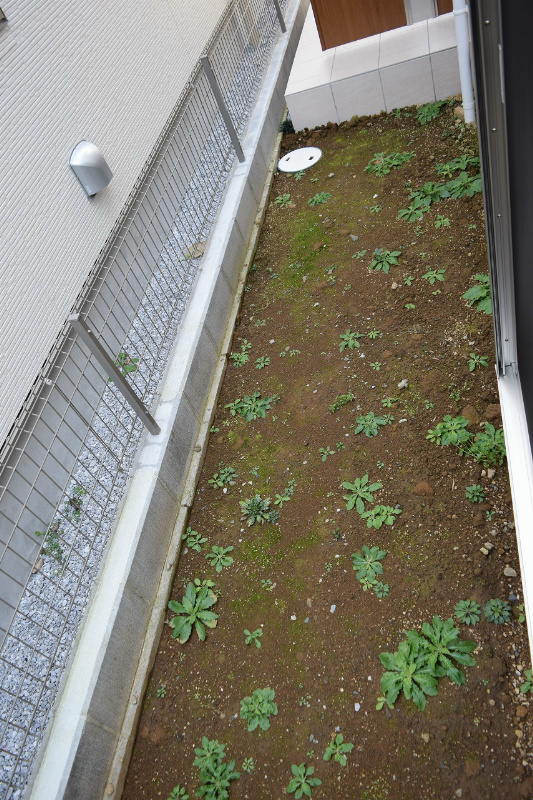 万田戸建 その他外観4