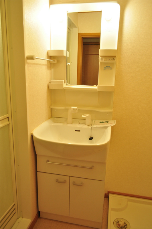 メゾン・ド・励歩 洗面所