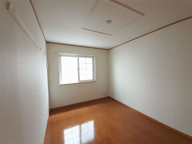 コスモス その他