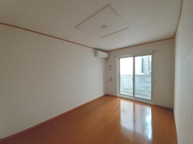 コスモス その他