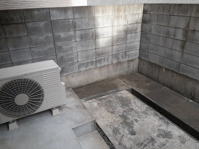 コスモス その他