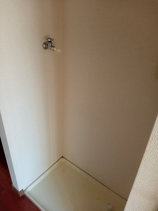 カミーリア その他32